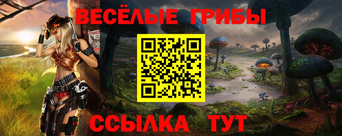 Псилоцибиновые грибы GOLDEN TEACHER Череповец
