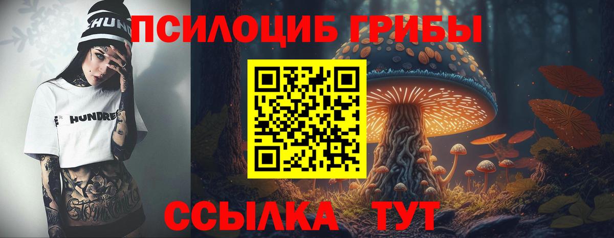 Псилоцибиновые грибы мухоморы  Галлюциногенные грибы мицелий  Вход с VPN  Череповец 